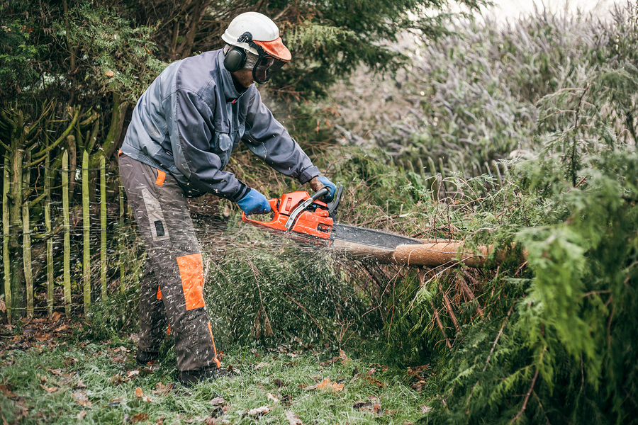 The importance of PPE and safety equipment for landscapers