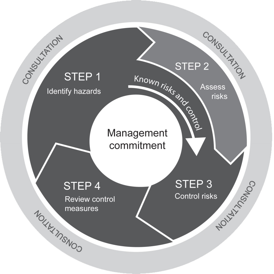 Steps Of Risk Management Process Download Scientific Diagram Riset