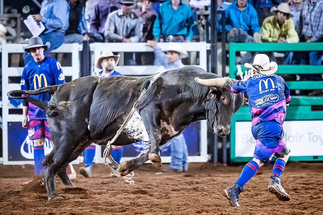 Safety in the ring: Bullfighting at rodeos