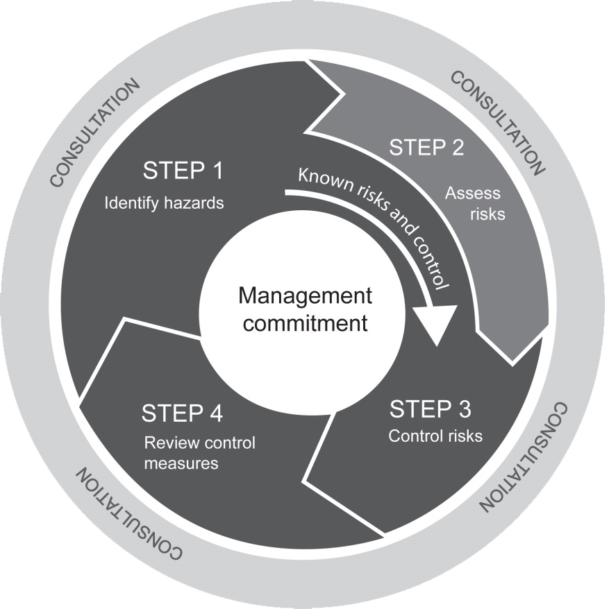Steps Of Risk Management Process 6 Download Scientific Diagram - Riset